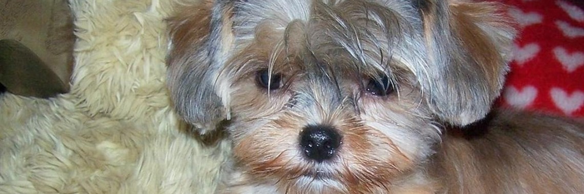 Elkaars beleving accepteren | Je weet wel...Karin!