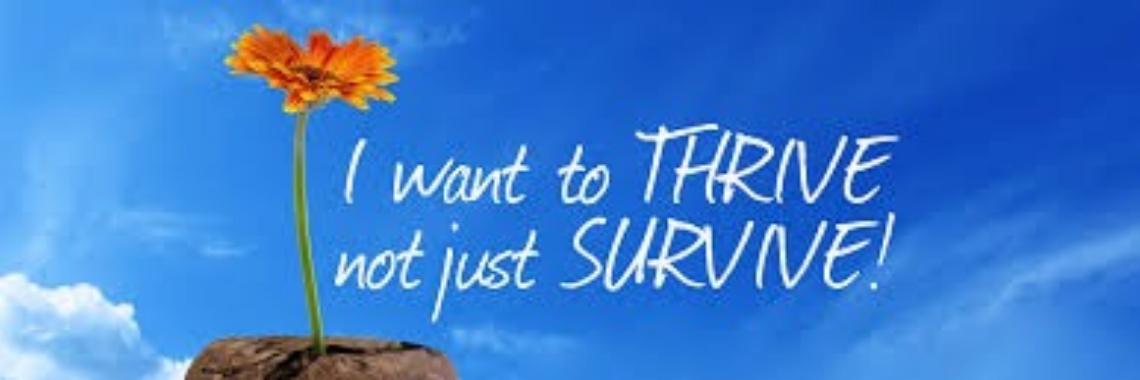 Heb je even geduld, kom dan kijken! | Je weet wel...Karin!