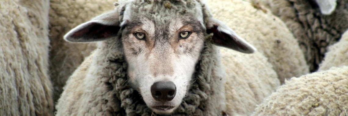 Hoe herken je een narcist | Je weet wel...Karin!