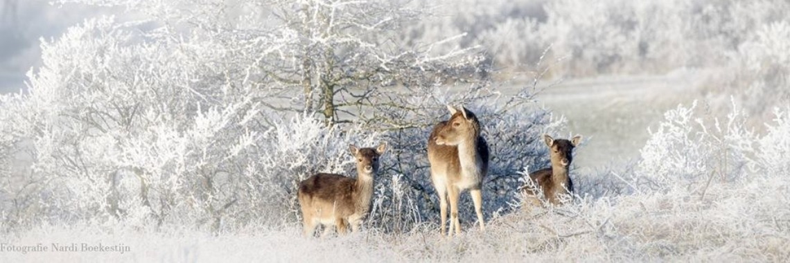 in Aanwezigheid | Je weet wel...Karin!