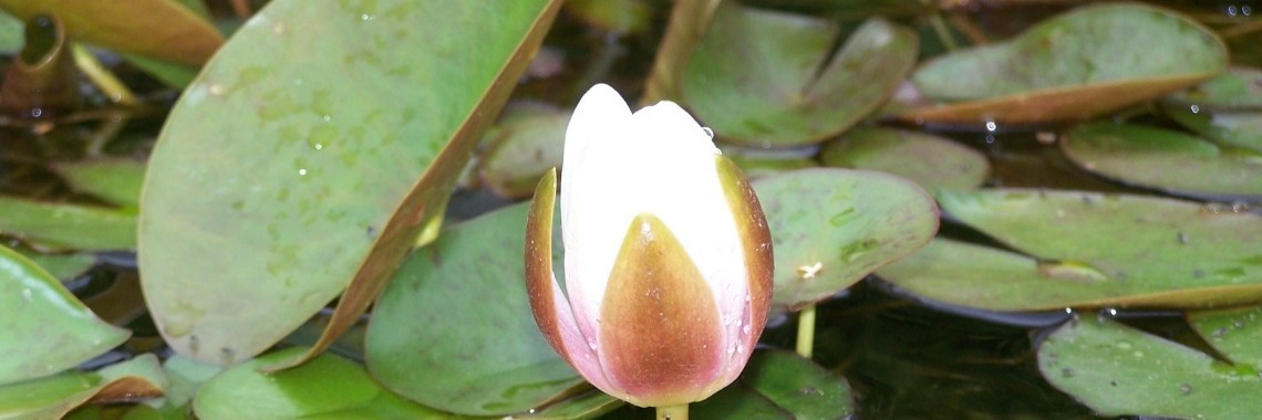 Meevoelen? | Je weet wel...Karin!