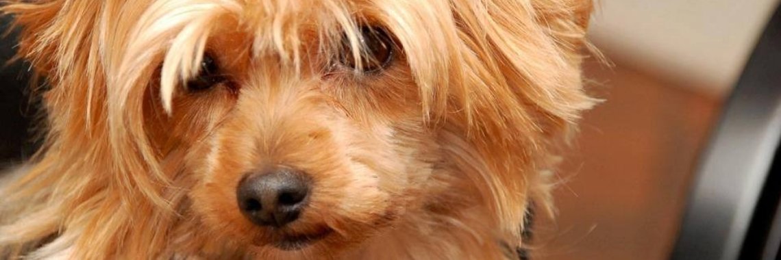 Mijn kleine liefde | Je weet wel...Karin!