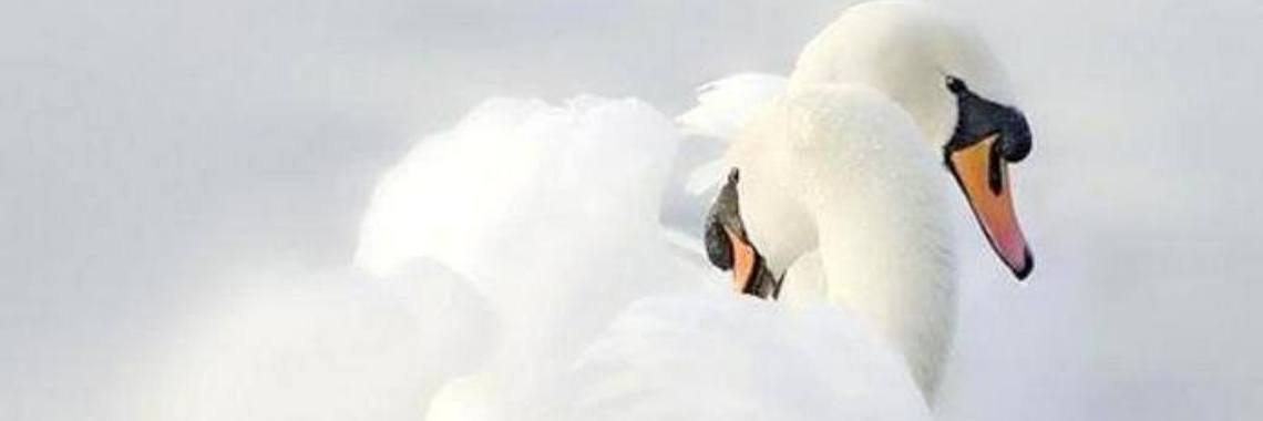 Verwachtingen van beloftes | Je weet wel...Karin!