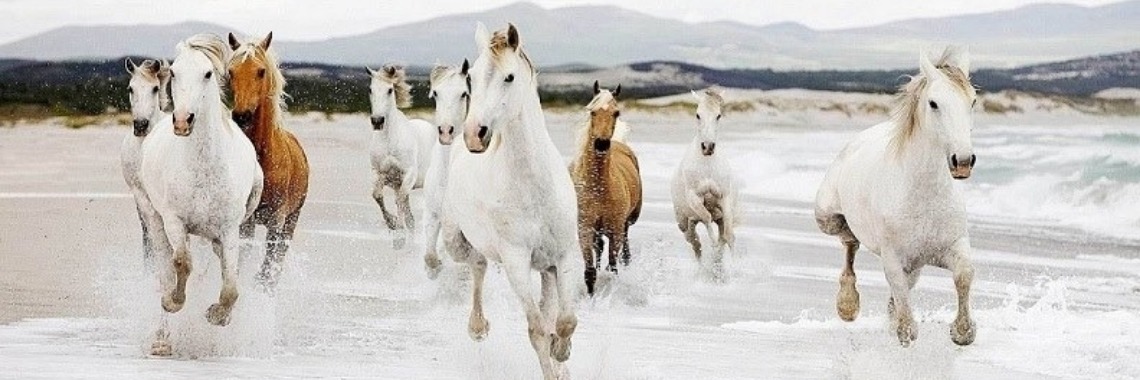 wanneer wordt je wijzer? | Je weet wel...Karin!