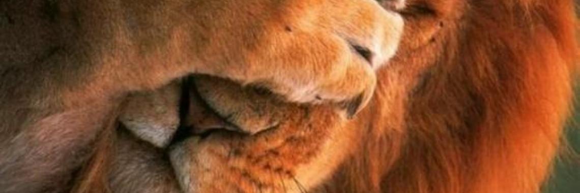 Wat is in de mens: rondom EMDR  3 | Je weet wel...Karin!