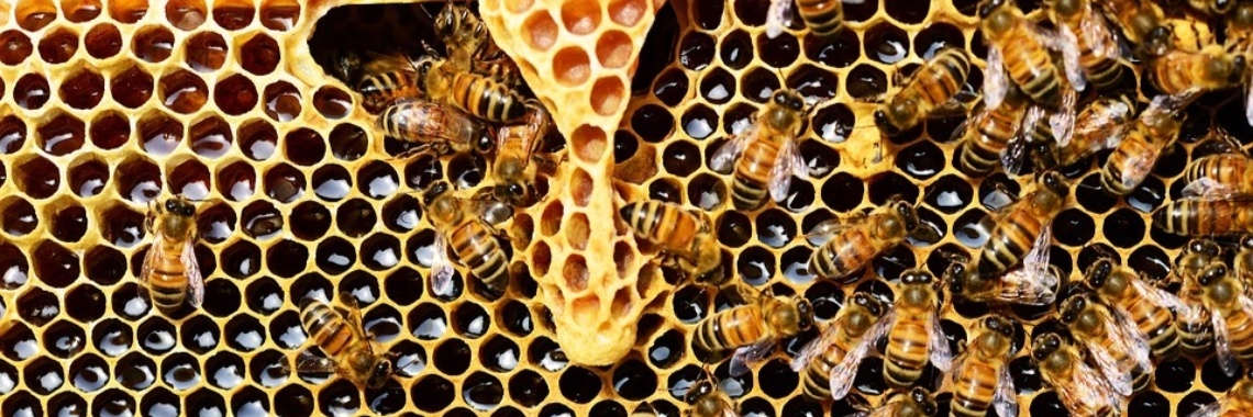 Dit is heel apart....... | marijke