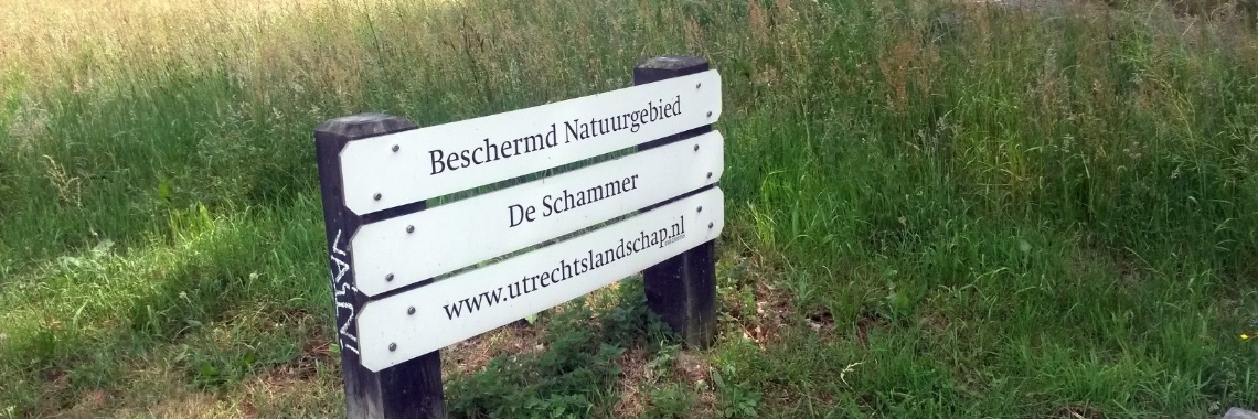 Fietstocht door "De Schammer" in Leusden. | marijke