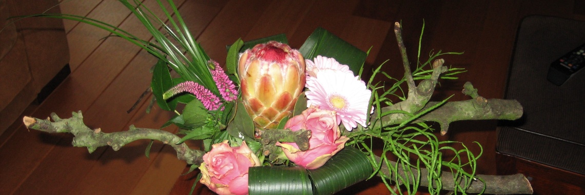 Mijn lievelingsbloem de prothea!! | marijke