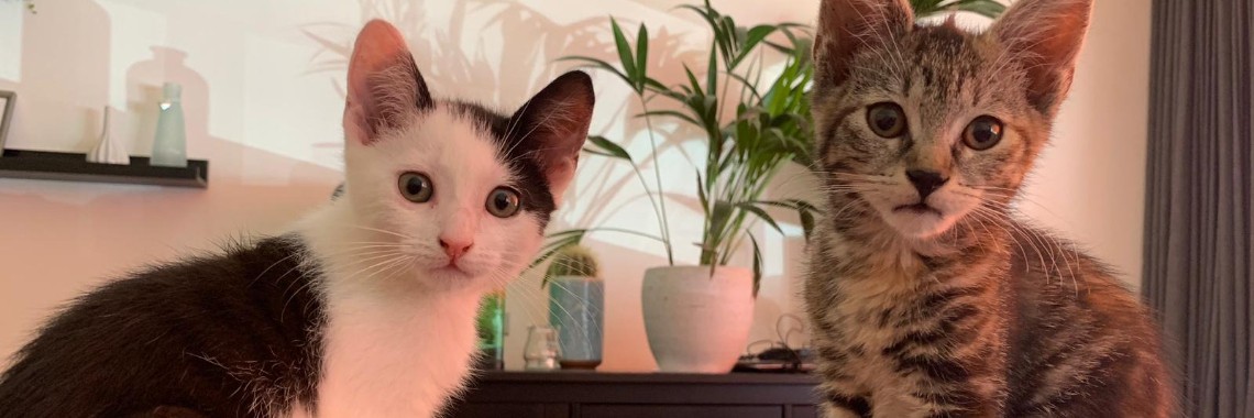 Wat doet mijn zus nou........ | marijke