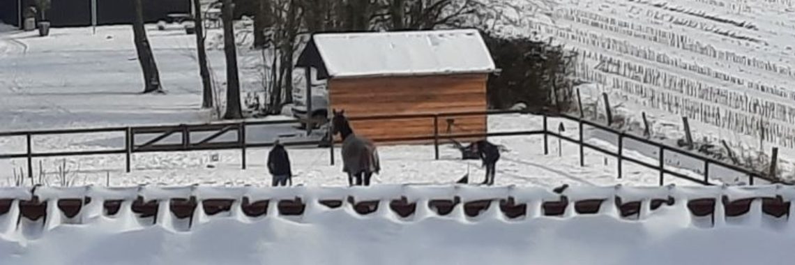 Wat een gezelligheid zie ik uit mijn raam...... | marijke