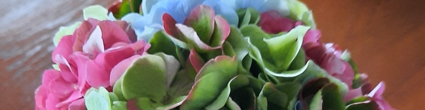 Yoors bloemen challange dag 3  Hortensia | marijke