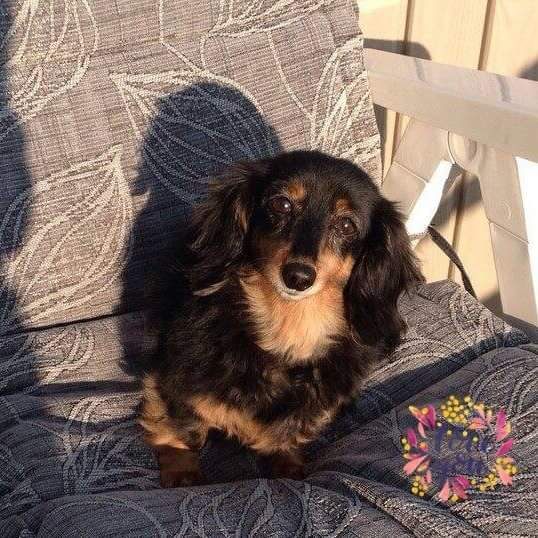 Kijk haar zitten...... | marijke