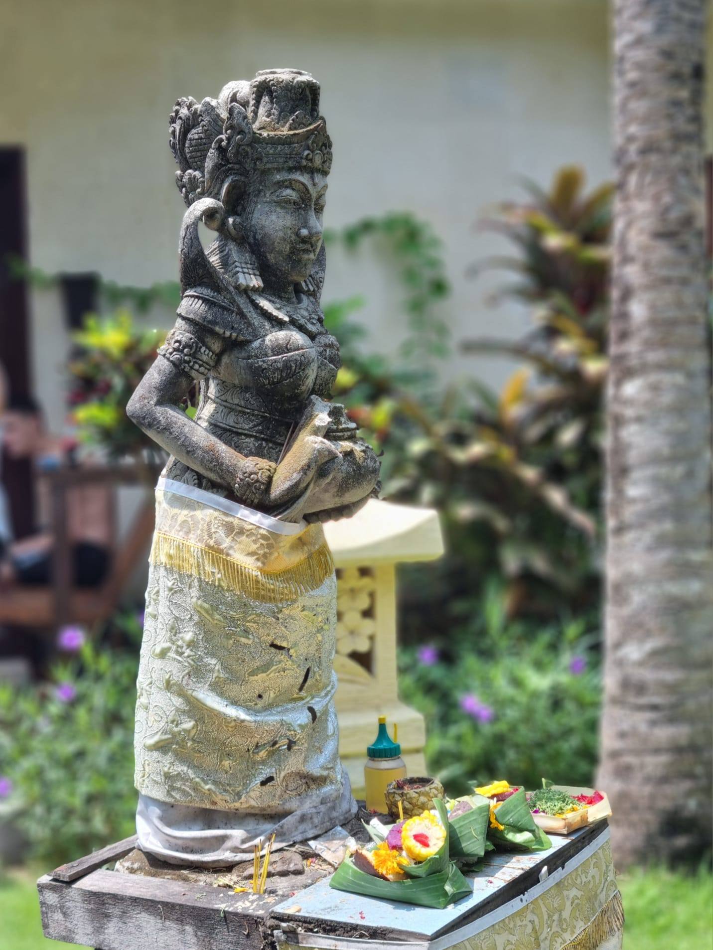 Heimwee naar Bali | marijke