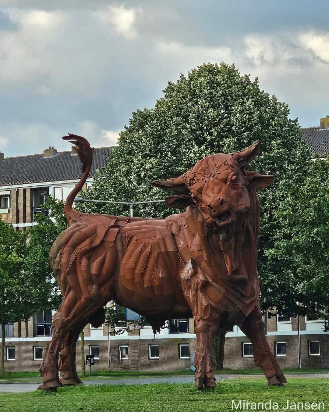 Onze populaire stier....... | marijke