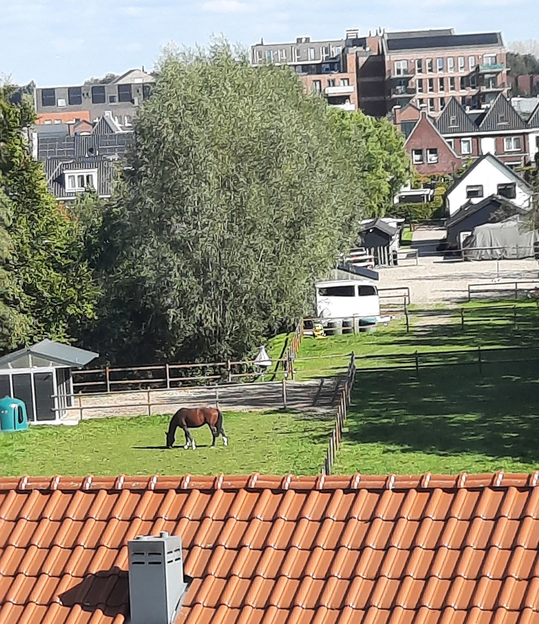 Altijd genieten van de paardjes...... | marijke