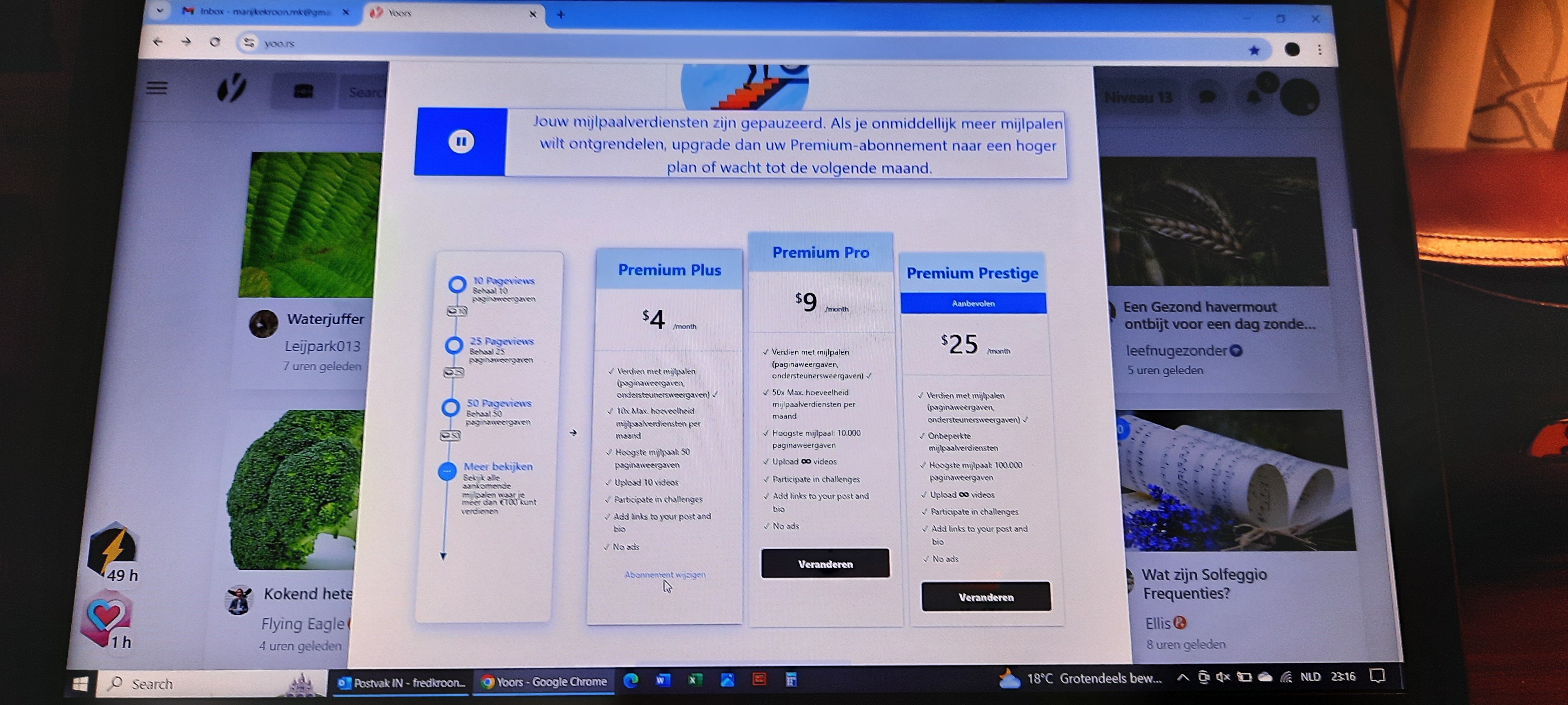 Ik heb me gisteravond paars geergerd..... | marijke