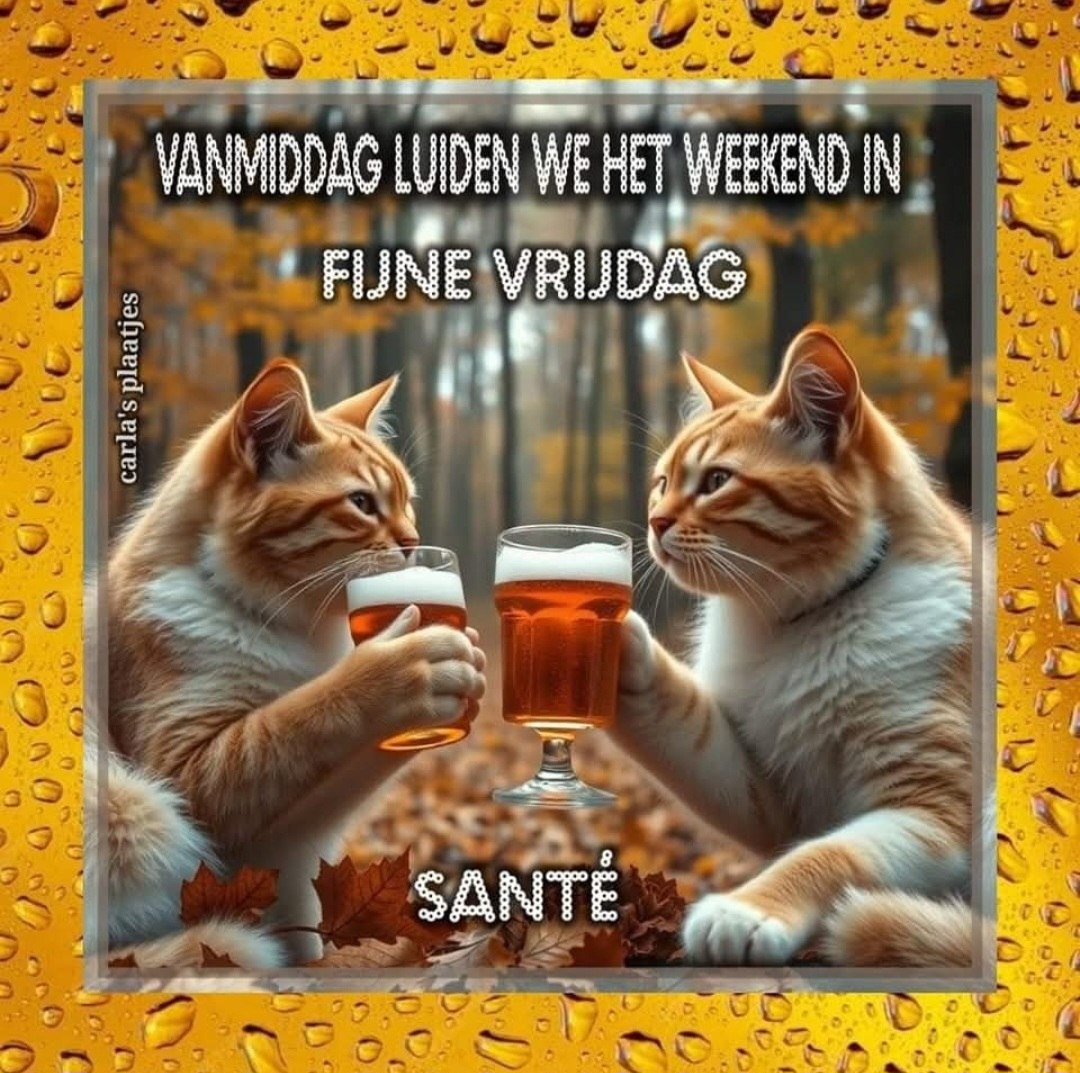 een heel gezellig weekend...... | marijke