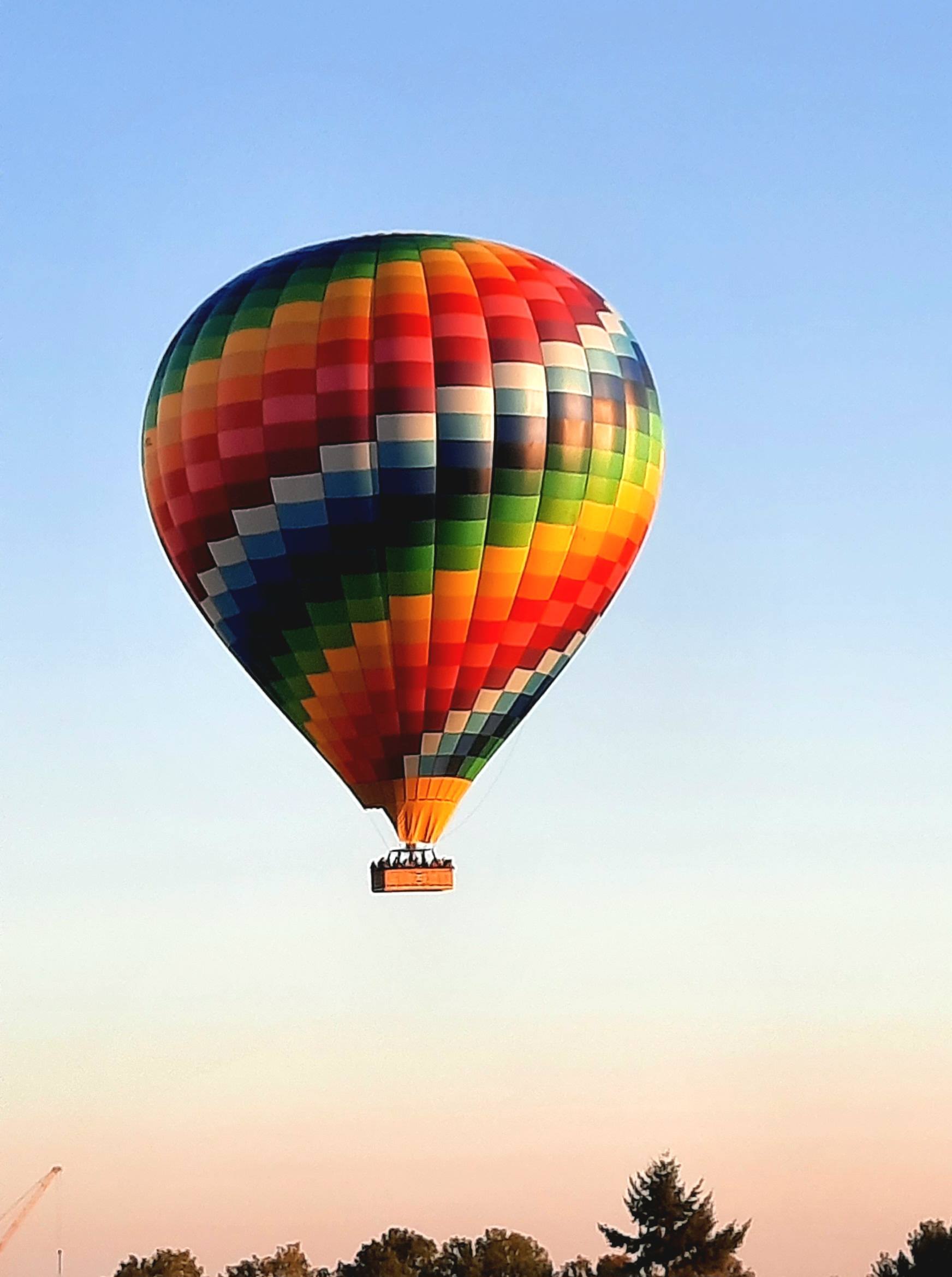 Gevalletje even binnen kijken...... | marijke