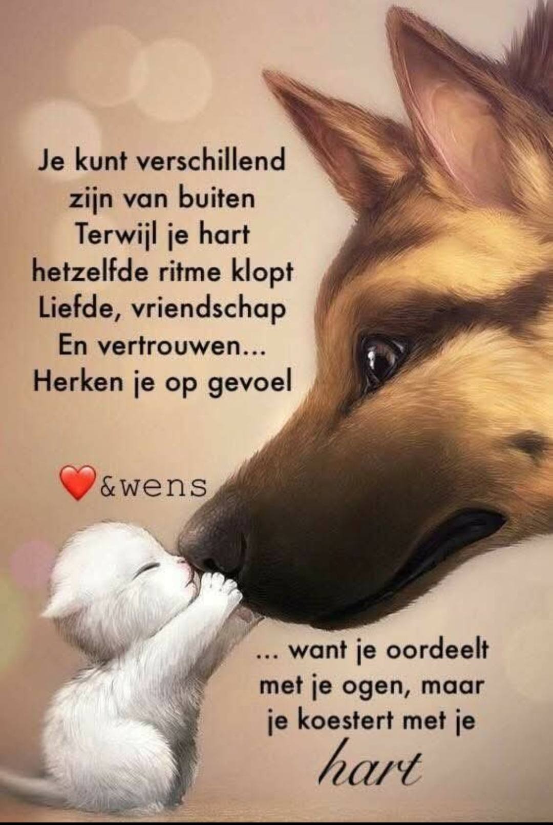 Ja dit denk ik eigenlijk ook!! | marijke