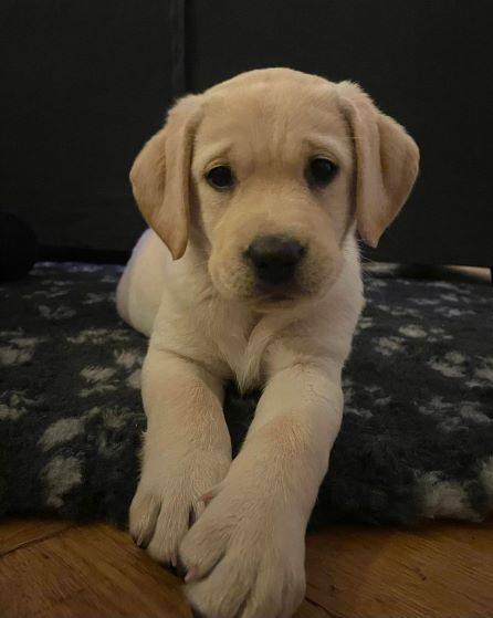 Een goeie tip toch....... | marijke