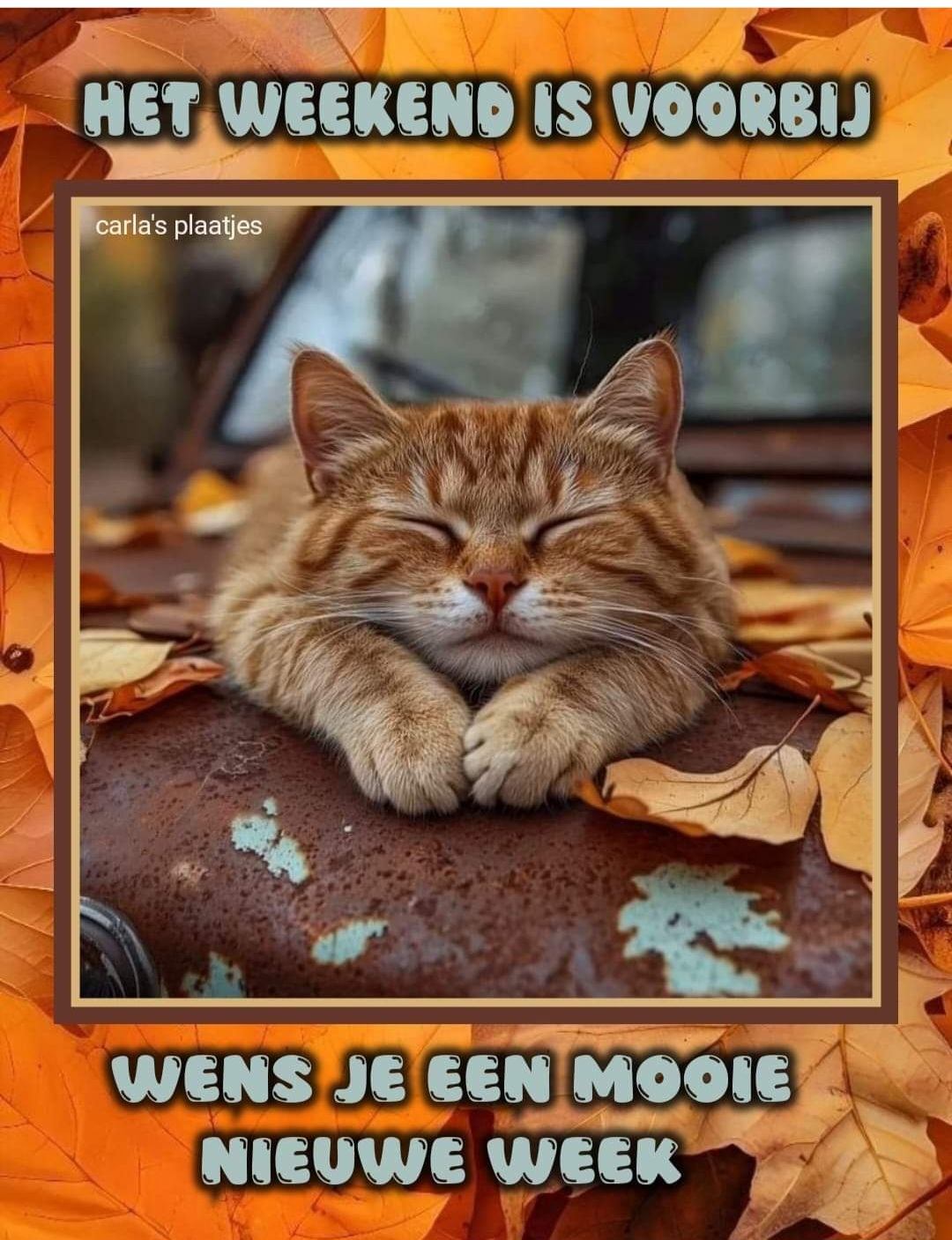 Best jammer weer...... | marijke