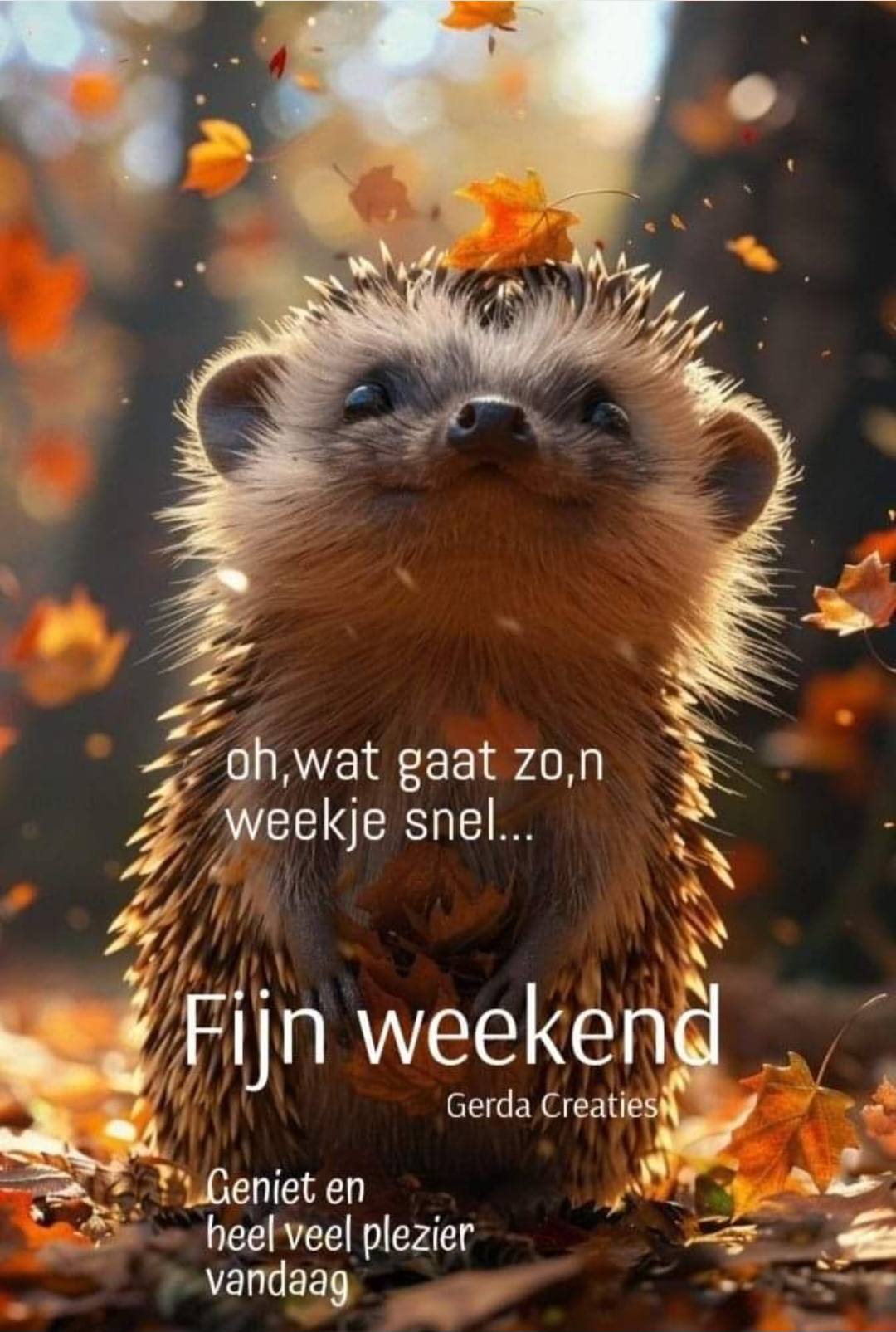 Helemaal mee eens....... | marijke