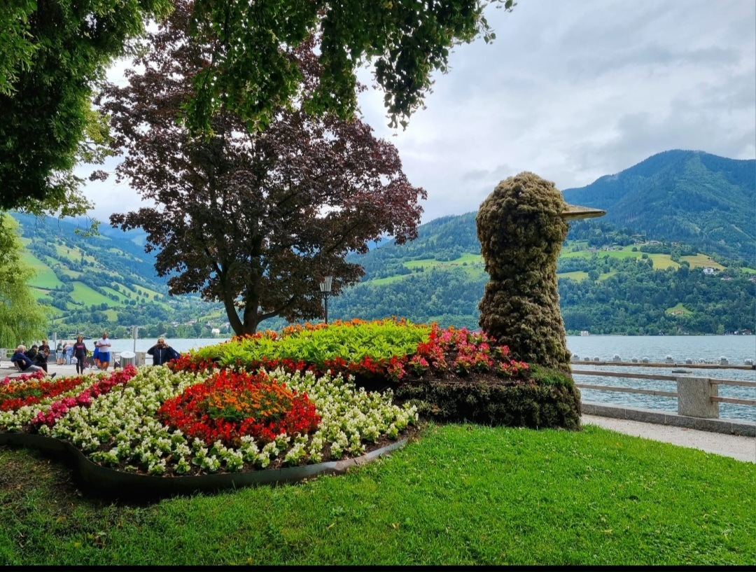 mooi hé...... | marijke