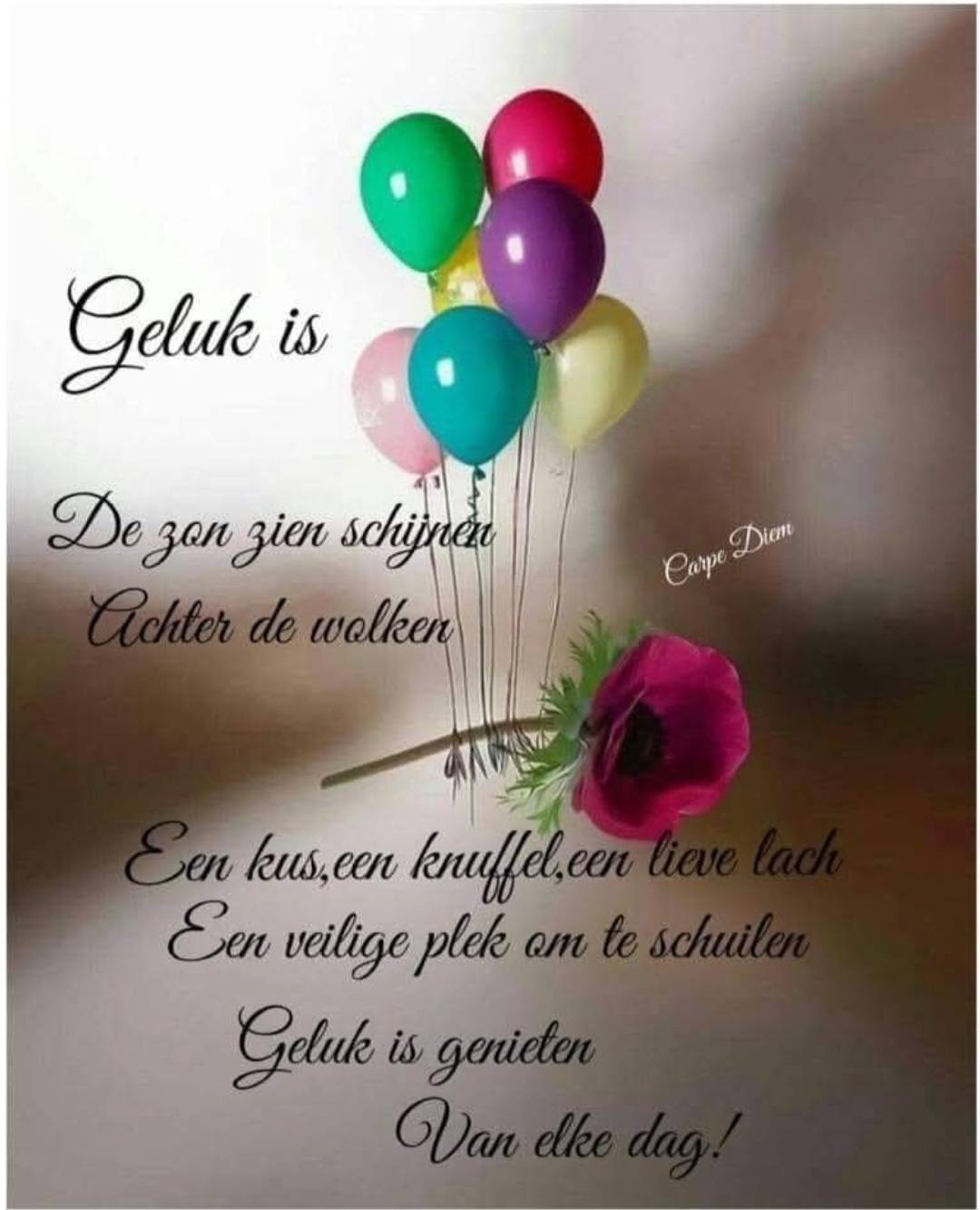 Ik wens jullie dit geluk...... | marijke