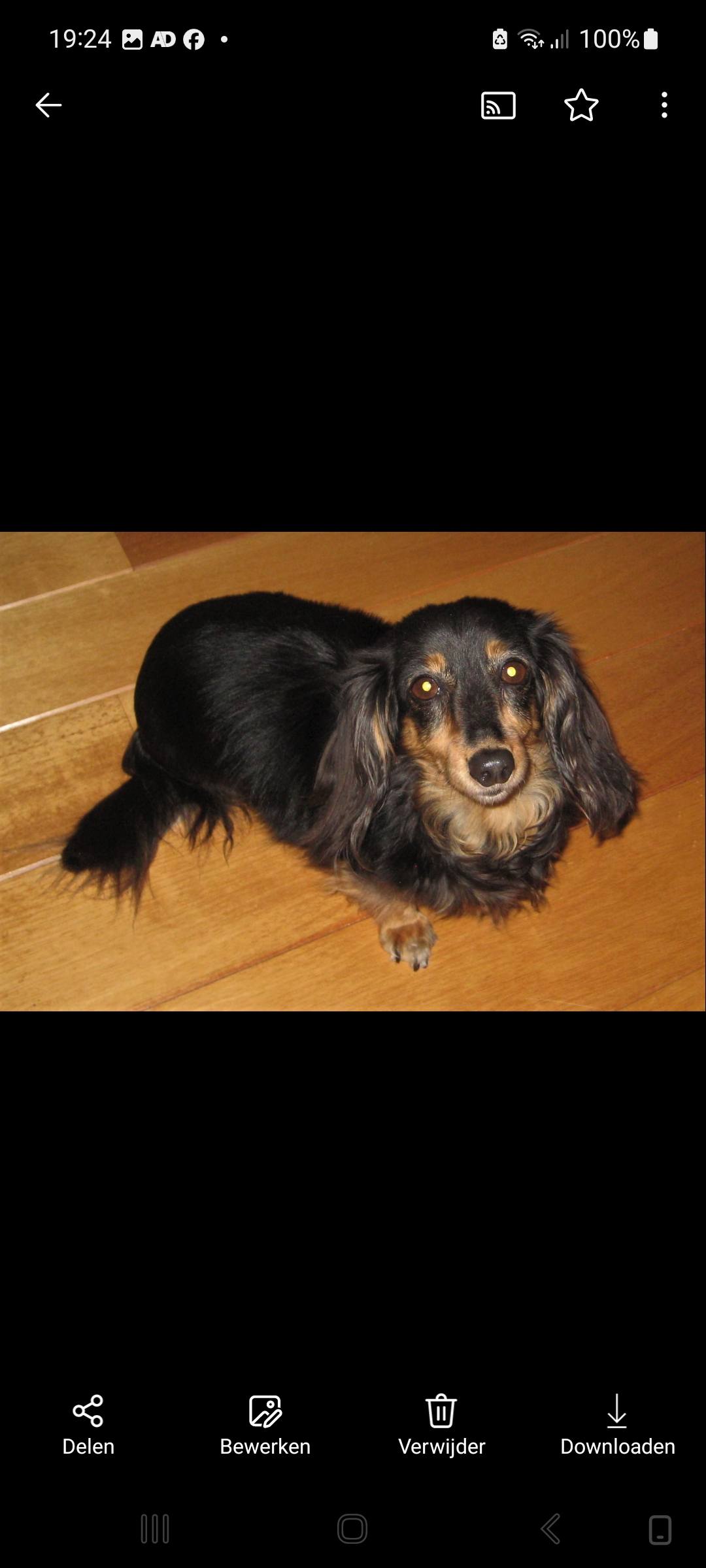 Ik help de baas........ | marijke