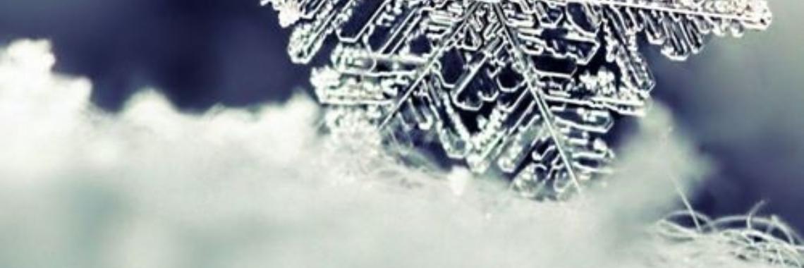 •k I N D N E S S     Q U O T E • | T A M A R A •