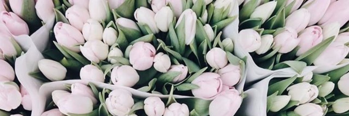 Fashion Influencers | Simone Albers