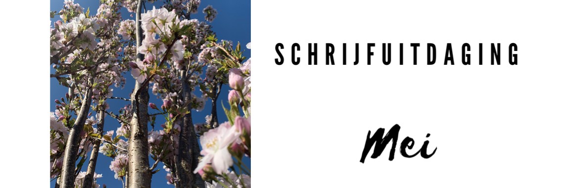 Schrijfuitdaging Mei -  Magic Mushrooms | Louter