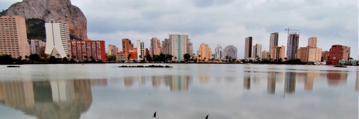 Reflections on calm water. | enigma