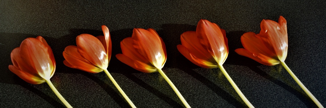 5 jaar op Yoors - wat vliegt de tijd ! | enigma