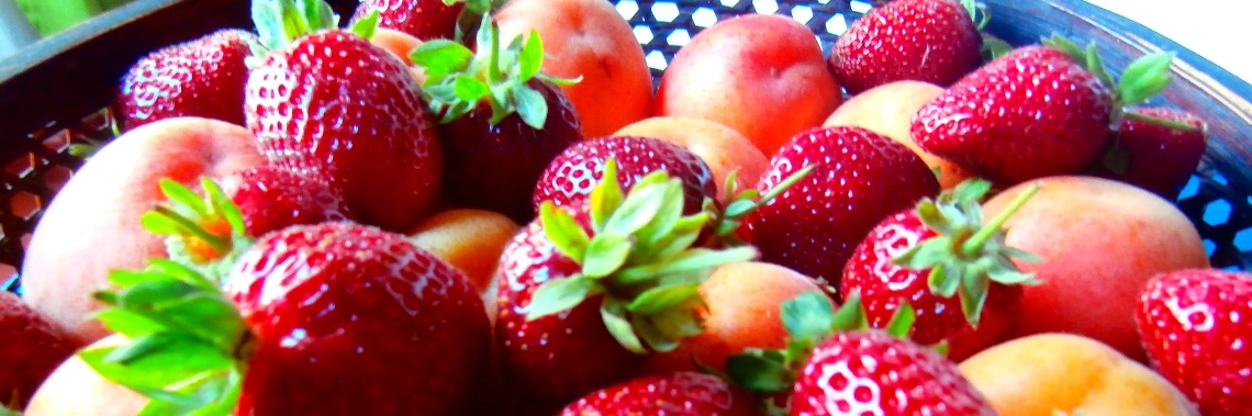 5 weetjes over gezond eten die je nog niet wist. | enigma