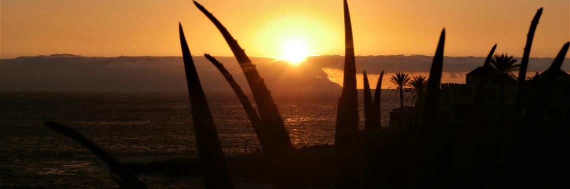 A touch of gold in the sky | enigma