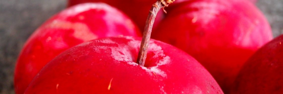 Bio hoeft niet duur te zijn. | enigma