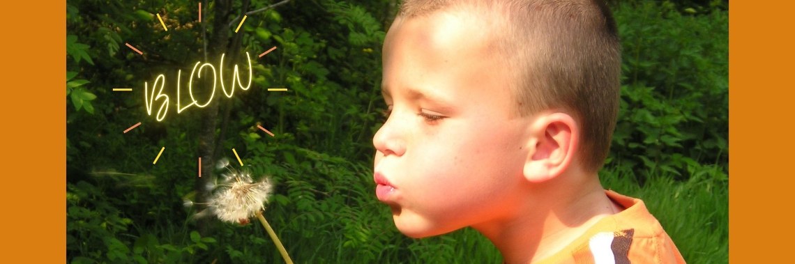 Blowing the seeds... | enigma