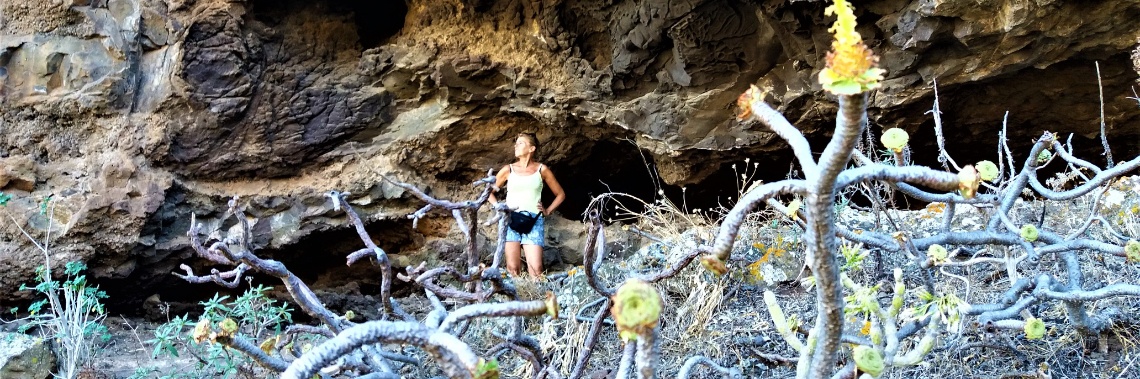 De futuristische bloemenpracht bij de caves van Guayadeque | enigma