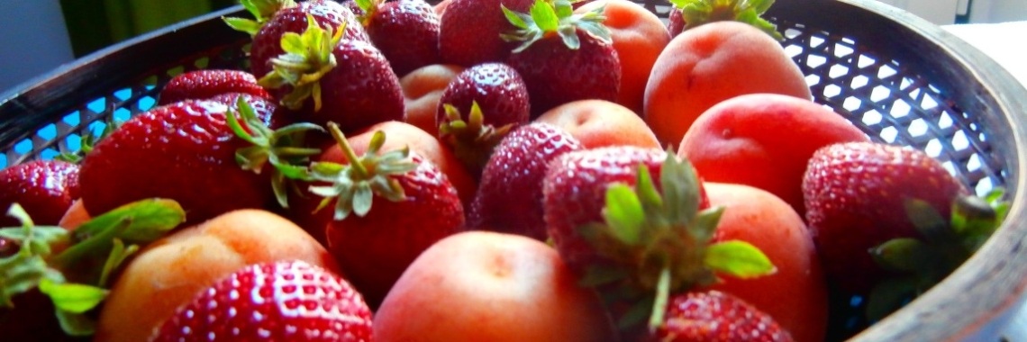 Dirty dozen 2018 : hoogste niveau van pesticiden in deze gezonde voeding ! | enigma