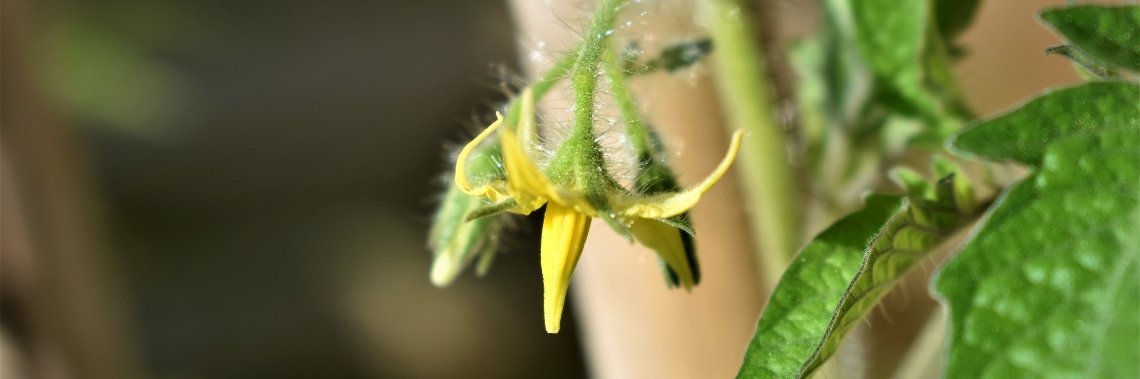 Een beetje leven, een beetje dood... | enigma