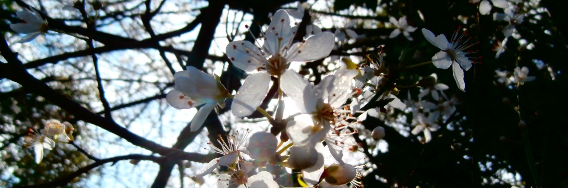 En toen... hield Moeder Aarde zelf grote schoonmaak. | enigma
