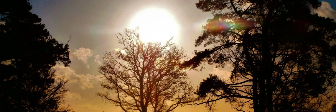 Fotoblog : de Kalmthoutse heide | enigma