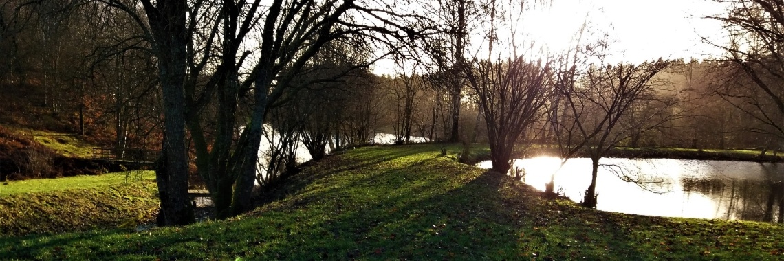 Gevarieerde wandeling in de Belgische Ardennen. (9 km) | enigma