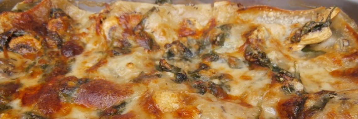 Vegetarische lasagne  (met recept- ook glutenvrije versie) | enigma