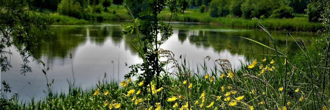 Ik hou van mijn dorpje. | enigma