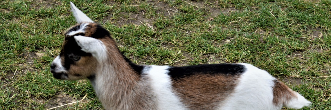 Violencia juvenil | enigma