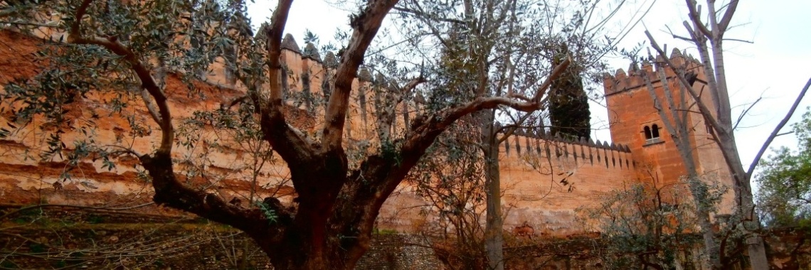 Lente in Andalusië : Granada en kloofwandeling 'Los Cahorros' in Monachil. | enigma