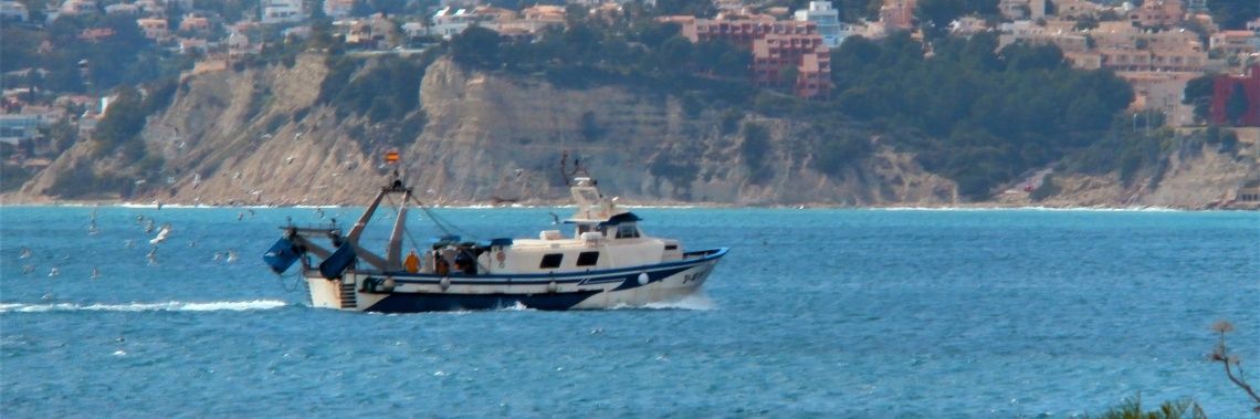 Lente in Spanje : de vangst van de dag... | enigma