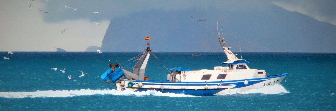 Lente in Spanje : de vissersboten komen de haven binnen. | enigma